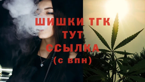 spice Богданович