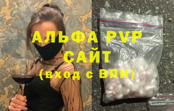 spice Богданович