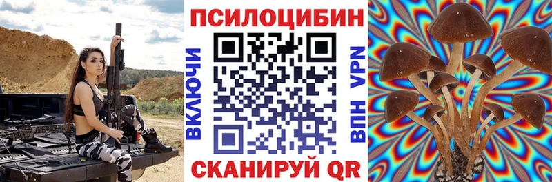 Галлюциногенные грибы ЛСД  где купить   Севастополь 